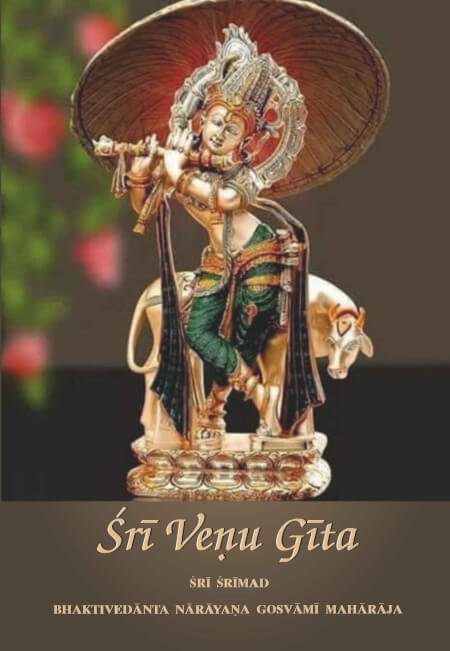 Boek cover Sri Venu Gita