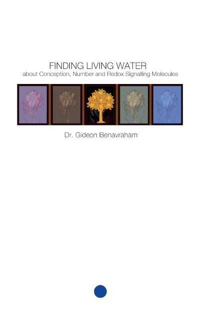 Boek cover Finding Living Water