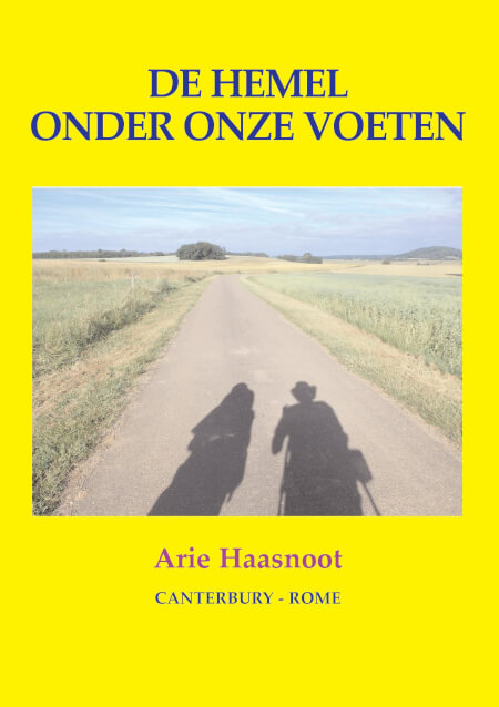 Boek cover De hemel onder onze voeten