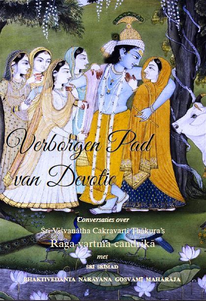 Boek cover Verborgen Pad van Devotie