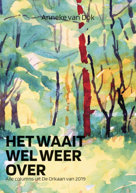 Boek cover Het waait wel weer over
