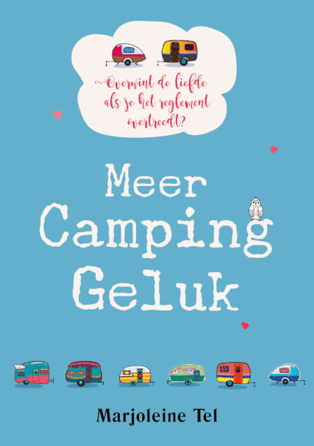 Boek cover Meer Campinggeluk