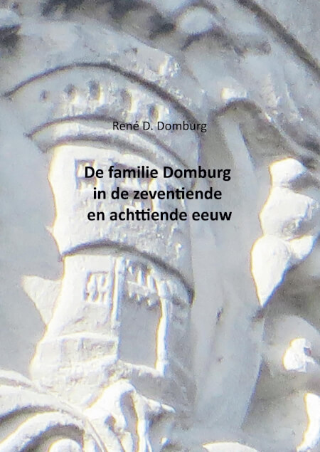 Boek cover De familie Domburg in de zeventiende en achttiende eeuw