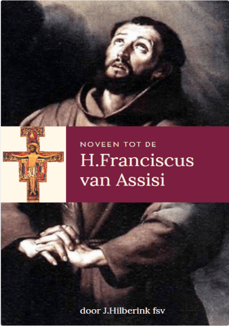 Boek cover Noveen Franciscus