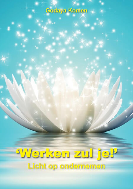 Boek cover Werken zul je!