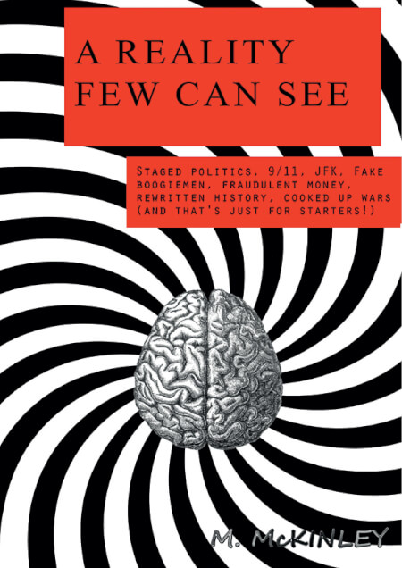 Boek cover A reality few can see