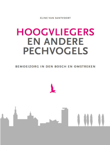 Boek cover Hoogvliegers en andere pechvogels