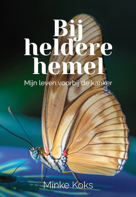 Boek cover Bij heldere hemel