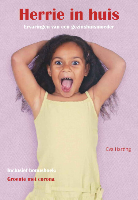 Boek cover Herrie in huis