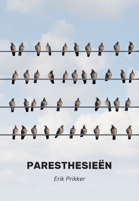 Boek cover Paresthesieen