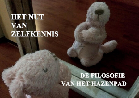 Boek cover HET NUT VAN ZELFKENNIS - 2