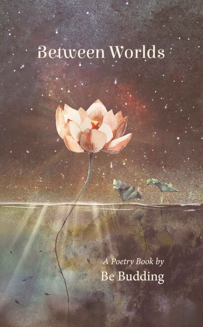 Boek cover Between Worlds