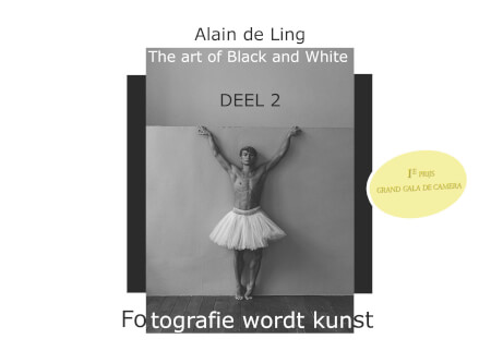 Boek cover The Art of Black and White (DEEL 2)