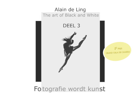 Boek cover The Art of Black and White (DEEL 3)