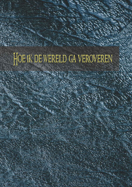 Boek cover Hoe ik de wereld ga veroveren