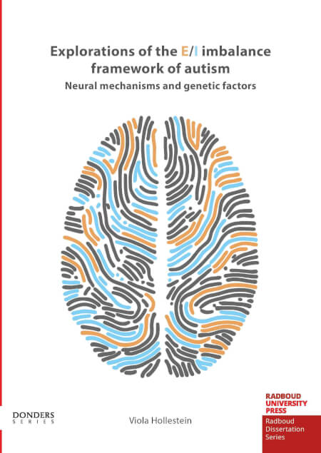 Boek cover Explorations of the E/I imbalance framework of autism