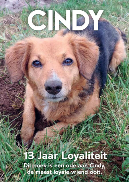 Boek cover Cindy - 13 Jaar Loyaliteit