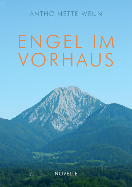 Boek cover Engel im Vorhaus