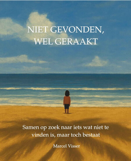 Boek cover Niet gevonden, wel geraakt