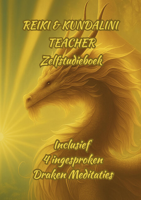 Boek cover Reiki & Kundalini Teacher ZelfstudieBoek