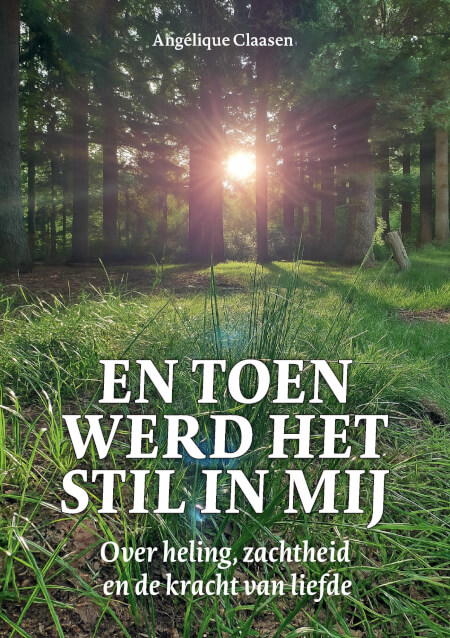 Boek cover En toen werd het stil in mij