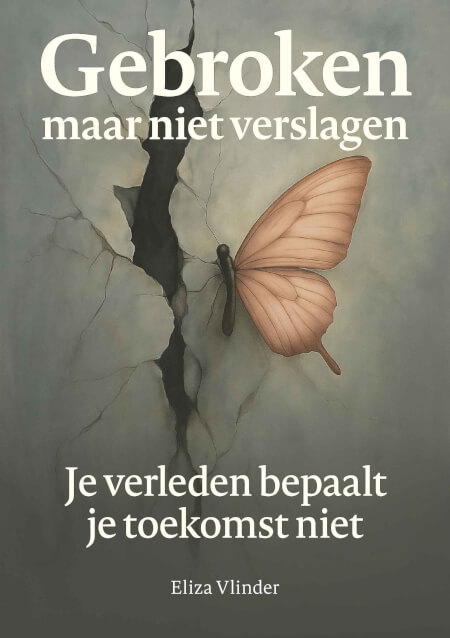 Boek cover Gebroken maar niet verslagen