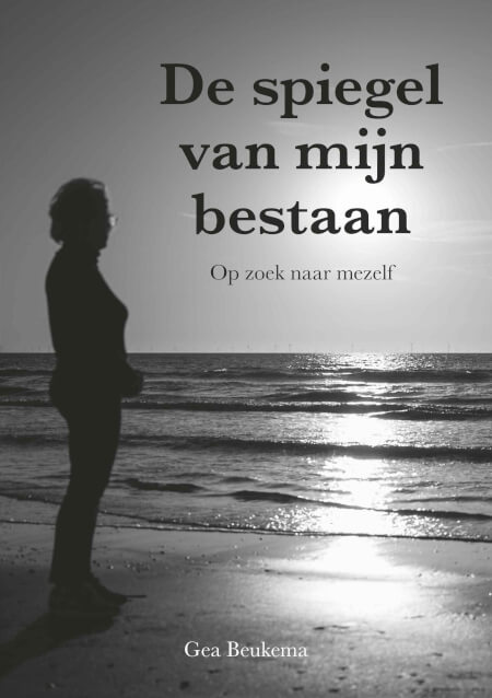 Boek cover De spiegel van mijn bestaan.