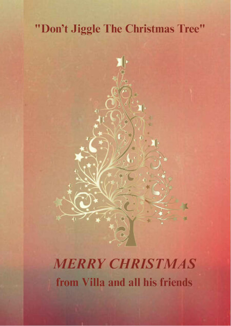 Boek cover Don’t Jiggle The Christmas Tree