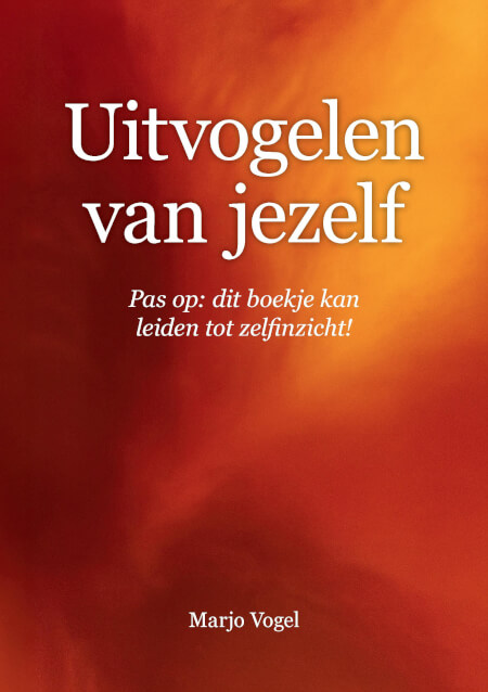 Boek cover Uitvogelen van jezelf