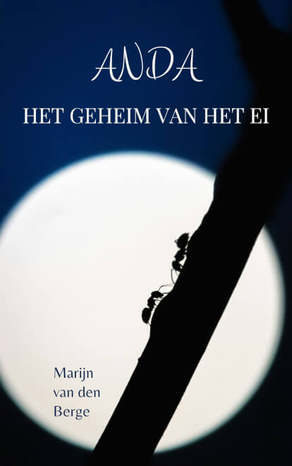 Boek cover Anda: Het geheim van het ei