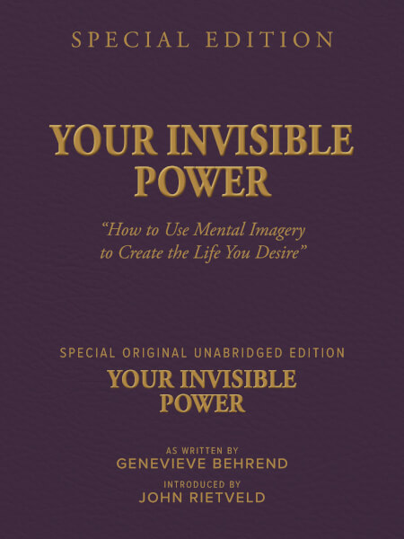 Boek cover YOUR INVISIBLE POWER