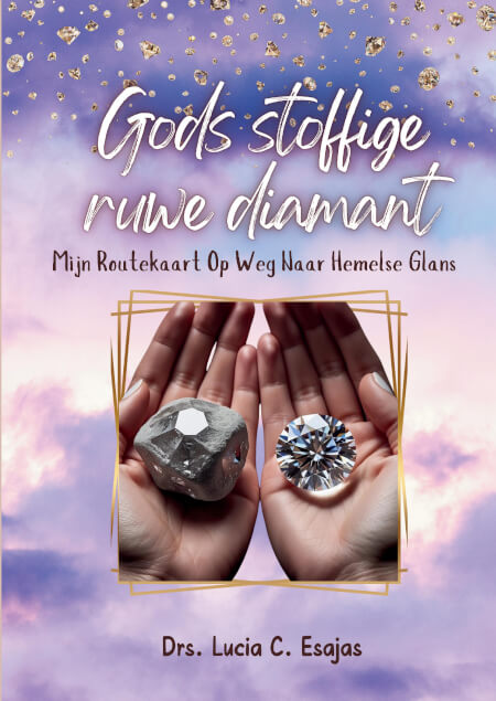 Boek cover GODS STOFFIGE RUWE DIAMANT