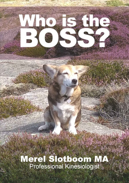 Boek cover Who is the BOSS?