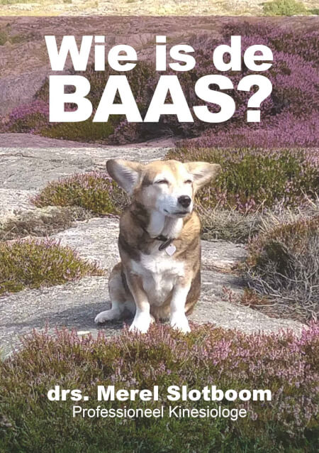 Boek cover Wie is de BAAS?