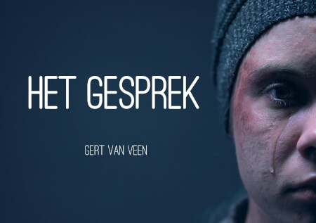 Boek cover Het gesprek