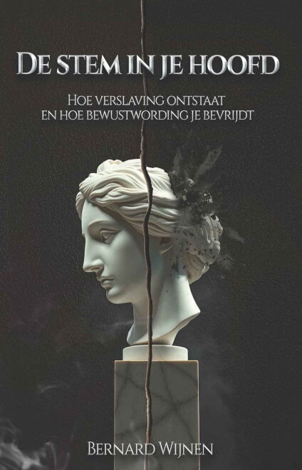 Boek cover De stem in je hoofd