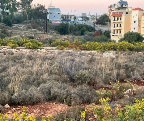 R9-3914 Land for Sale in Aaba – Koura, 1,215 m², Zoning 75/30 أرض للبيع في عابا – الكورة،… — 4
