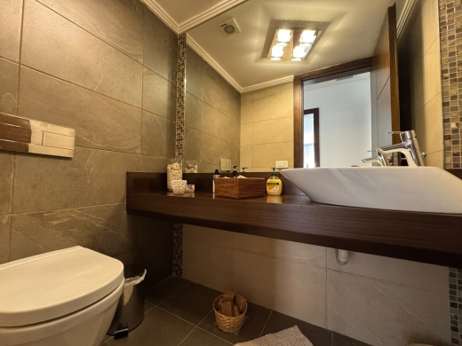 Fully Furnished & Decorated Apartment With Terrace For Rent in Monteverde — 13