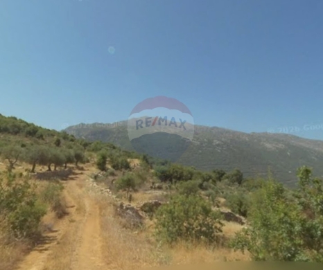 R9-3918 Land for Sale in Kfour El Arbeh – Batroun, 1,191 m², Residential, Olive Trees أرض للبيع في كفور العربي – البترون، 1,191 م²، سكنية، مزروعة بالزيتون