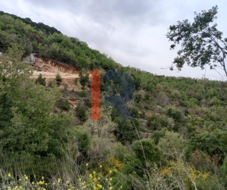 R9-3916 Land for Sale in Racha – Batroun, 2,000 m², Zoning 25/50 — 2