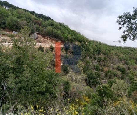 R9-3916 Land for Sale in Racha – Batroun, 2,000 m², Zoning 25/50