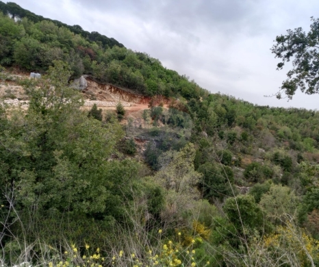 R9-3916 Land for Sale in Racha – Batroun, 2,000 m², Zoning 25/50أرض للبيع في رشا – البترون، 2,000 م²، تصنيف 25/50
