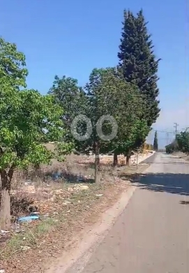 أرض للبيع في دده الكورة | Deddeh Koura Land for Sale