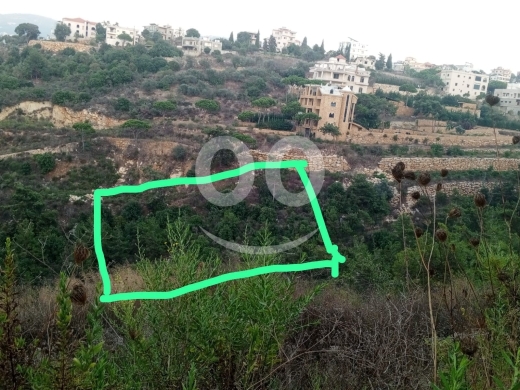 أرض للبيع في بعورتة عاليه مساحة 3250 متر | sqm Land for Sale in Baawerta Aley