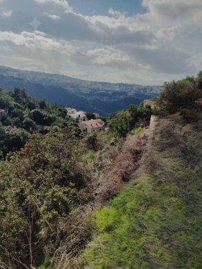 Land for Sale in Jeita