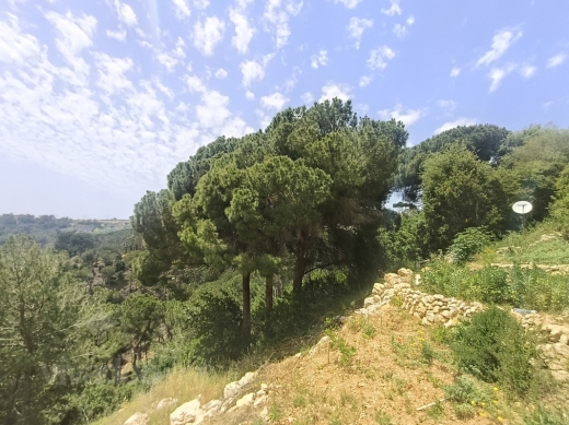 Land for Sale in Daroun — 2