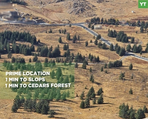 Prime location/excellent accessibility/Located directly on the main road/BECHARRE-ARZ/بشري/REF#YT140430