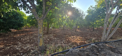 Prime location/villa's zone/main road /Batroumin-koura/بترومين/REF#YT140427 — 2