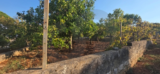 Prime location/villa's zone/main road /Batroumin-koura/بترومين/REF#YT140427 — 5