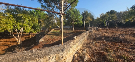 Prime location/villa's zone/main road /Batroumin-koura/بترومين/REF#YT140427 — 4